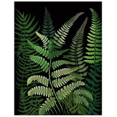 Wee Blue Coo Elegant Botanical Nature Foliage Artwork Fern Fronds Green on Black Extra Large XL Wall Art Poster Print Wee Blue Coo Elegant Botanical Nature Foliage Artwork Fern Fronds Green on Black Extra Large XL Wall Art Poster Print