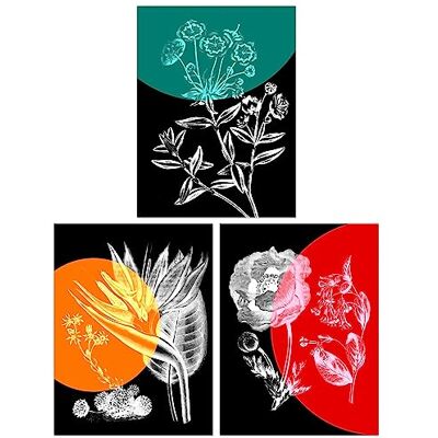 Wee Blue Coo - Colour Pop Floral - Black White - Wall Art Wee Blue Coo - Colour Pop Floral - Black White - Wall Art