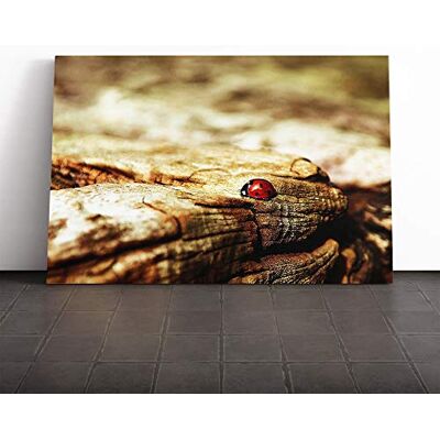 Big Box Art Red Ladybird Insect (3) Canvas Print Gallery Wrapped 30mm Frame Wall Art 24x16 inches Ready to Hang Modern Animals Picture Living Room Bedroom Lounge Office Big Box Art Red Ladybird Insect (3) Canvas Print Gallery Wrapped 30mm Frame Wall Art 24x16 inches Ready to Hang Modern Animals Picture Living Room Bedroom Lounge Office