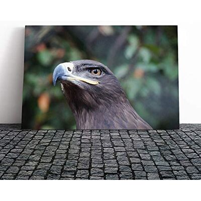Big Box Art Steppe Eagle Bird Canvas Print Gallery Wrapped 30mm Frame Wall Art 30x20 inches Ready to Hang Modern Animals Picture Living Room Bedroom Lounge Office Big Box Art Steppe Eagle Bird Canvas Print Gallery Wrapped 30mm Frame Wall Art 30x20 inches Ready to Hang Modern Animals Picture Living Room Bedroom Lounge Office