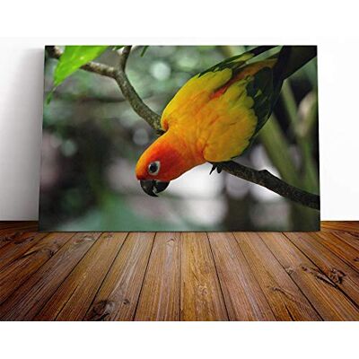 Big Box Art Parrot Bird Canvas Print Gallery Wrapped 30mm Frame Wall Art 24x16 inches Ready to Hang Modern Animals Picture Living Room Bedroom Lounge Office Big Box Art Parrot Bird Canvas Print Gallery Wrapped 30mm Frame Wall Art 24x16 inches Ready to Hang Modern Animals Picture Living Room Bedroom Lounge Office