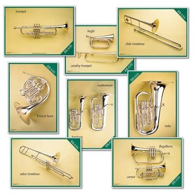 Wildgoose Education MU2224 Brass Instrument Poster (Pack of 8) Wildgoose Education MU2224 Brass Instrument Poster (Pack of 8)