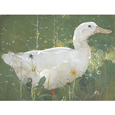 Fine Art Prints Joseph Crawhall The White Drake Large Wall Art Print Canvas Premium Poster Mural Fine Art Prints Joseph Crawhall The White Drake Large Wall Art Print Canvas Premium Poster Mural