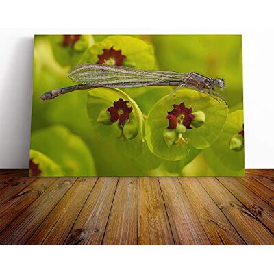 Big Box Art Ischnura Elegans Dragonfly Canvas Print Gallery Wrapped 30mm Frame Wall Art 20x14 inches Ready to Hang Modern Animals Picture Living Room Bedroom Lounge Office Big Box Art Ischnura Elegans Dragonfly Canvas Print Gallery Wrapped 30mm Frame Wall Art 20x14 inches Ready to Hang Modern Animals Picture Living Room Bedroom Lounge Office