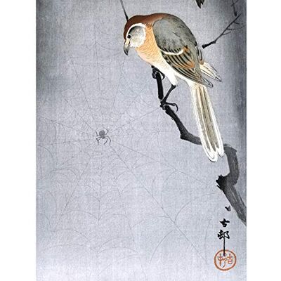 Wee Blue Coo Buffalo Shrike Spider Ohara Koson Large Wall Art Print Canvas Premium Poster Wee Blue Coo Buffalo Shrike Spider Ohara Koson Large Wall Art Print Canvas Premium Poster