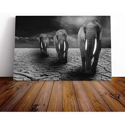 Big Box Art Elephant Vol.3 Canvas Print Gallery Wrapped 30mm Frame Wall Art 20x14 inches Ready to Hang Modern Animals Picture Living Room Bedroom Lounge Office Big Box Art Elephant Vol.3 Canvas Print Gallery Wrapped 30mm Frame Wall Art 20x14 inches Ready to Hang Modern Animals Picture Living Room Bedroom Lounge Office