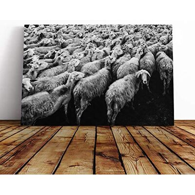 Big Box Art Flock of Sheep (2) Canvas Print Gallery Wrapped 30mm Frame Wall Art 30x20 inches Ready to Hang Modern Animals Picture Living Room Bedroom Lounge Office Big Box Art Flock of Sheep (2) Canvas Print Gallery Wrapped 30mm Frame Wall Art 30x20 inches Ready to Hang Modern Animals Picture Living Room Bedroom Lounge Office