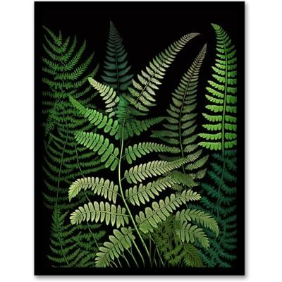 Wee Blue Coo Elegant Botanical Nature Foliage Artwork Fern Fronds Green on Black Artwork Framed Wall Art Print 18X24 Inch Wee Blue Coo Elegant Botanical Nature Foliage Artwork Fern Fronds Green on Black Artwork Framed Wall Art Print 18X24 Inch