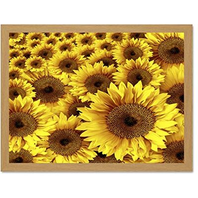 Wee Blue Coo Mp Composition Nature Plant Flower Sunflower Yellow Large Framed Art Print Poster Wall Decor 18x24 inch Wee Blue Coo Mp Composition Nature Plant Flower Sunflower Yellow Large Framed Art Print Poster Wall Decor 18x24 inch