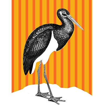 Wee Blue Coo Tall Birds On Stripes Black Stork Orange Large Wall Art Poster Print Thick Paper 18X24 Inch Wee Blue Coo Tall Birds On Stripes Black Stork Orange Large Wall Art Poster Print Thick Paper 18X24 Inch