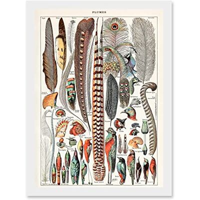 Artery8 - Millot Encyclopedia - White - A4 - Wall art print Artery8 - Millot Encyclopedia - White - A4 - Wall art print
