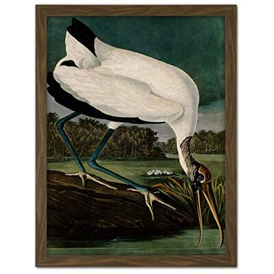 Artery8 Audubon Birds Wood Ibis Painting Artwork Framed Wall Art Print 18X24 Inch Artery8 Audubon Birds Wood Ibis Painting Artwork Framed Wall Art Print 18X24 Inch