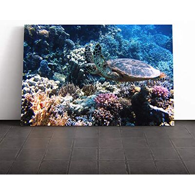 Big Box Art Sea Turtle Coral Reef Canvas Print Gallery Wrapped 30mm Frame Wall Art 24x16 inches Ready to Hang Modern Animals Picture Living Room Bedroom Lounge Office Big Box Art Sea Turtle Coral Reef Canvas Print Gallery Wrapped 30mm Frame Wall Art 24x16 inches Ready to Hang Modern Animals Picture Living Room Bedroom Lounge Office