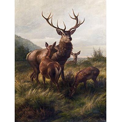 Fine Art Prints Deiker Stag Deer Antlers Doe Animal Nature Painting Large Print Poster Wall Art Decor Picture Fine Art Prints Deiker Stag Deer Antlers Doe Animal Nature Painting Large Print Poster Wall Art Decor Picture