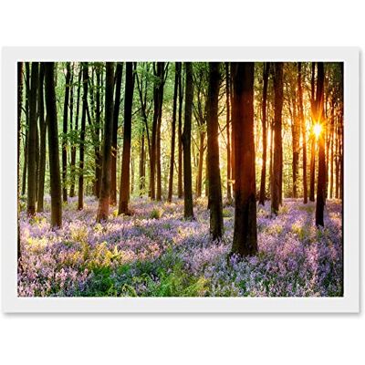 Artery8 - Bluebell Wood Sunrise Trees Photo - A4 Artery8 - Bluebell Wood Sunrise Trees Photo - A4