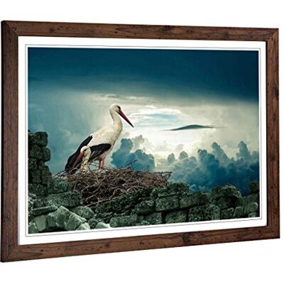 Big Box Art Framed Print of Stork Birds Nest Design Wall Art Picture Home Decor for Kitchen, Living, Dining Room, Lounge, Bedroom, Hallway, Office, Walnut, A2 / 24.5x18 Inch / 62x45cm Big Box Art Framed Print of Stork Birds Nest Design Wall Art Picture Home Decor for Kitchen, Living, Dining Room, Lounge, Bedroom, Hallway, Office, Walnut, A2 / 24.5x18 Inch / 62x45cm