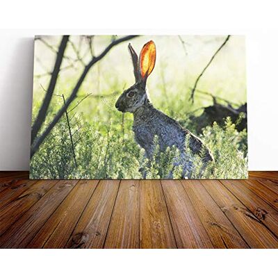 Big Box Art Hare in The Meadow Canvas Print Gallery Wrapped 30mm Frame Wall Art 20x14 inches Ready to Hang Modern Animals Picture Living Room Bedroom Lounge Office Big Box Art Hare in The Meadow Canvas Print Gallery Wrapped 30mm Frame Wall Art 20x14 inches Ready to Hang Modern Animals Picture Living Room Bedroom Lounge Office