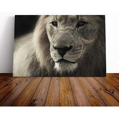 Big Box Art Lion Vol.2 Canvas Print Gallery Wrapped 30mm Frame Wall Art 24x16 inches Ready to Hang Modern Animals Picture Living Room Bedroom Lounge Office Big Box Art Lion Vol.2 Canvas Print Gallery Wrapped 30mm Frame Wall Art 24x16 inches Ready to Hang Modern Animals Picture Living Room Bedroom Lounge Office