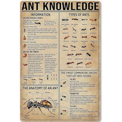 Zzjniupiyyds Ant Knowledge Metal Tin Sign Types Of Ants Retro Poster School Education Living Room Kitchen Bathroom Home Art Wall Decoration Plaque Gift Zzjniupiyyds Ant Knowledge Metal Tin Sign Types Of Ants Retro Poster School Education Living Room Kitchen Bathroom Home Art Wall Decoration Plaque Gift