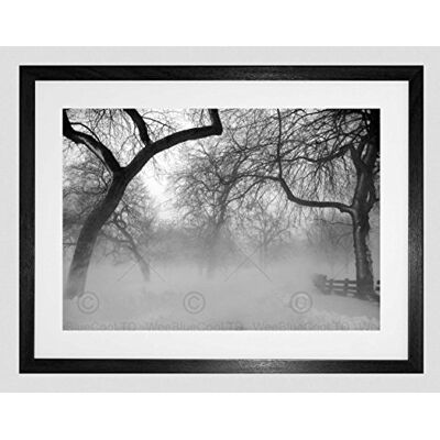 Wee Blue Coo Nature Landscape Forest Snow Fog Ice Winter Black White Framed Wall Art Print Wee Blue Coo Nature Landscape Forest Snow Fog Ice Winter Black White Framed Wall Art Print