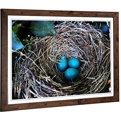 Big Box Art Framed Print of Birds Nest Duck Egg Blue Design Wall Art Picture Home Decor for Kitchen, Living, Dining Room, Bedroom, Hallway, Office, Walnut, A2 / 24.5x18 Inch / 62x45cm Big Box Art Framed Print of Birds Nest Duck Egg Blue Design Wall Art Picture Home Decor for Kitchen, Living, Dining Room, Bedroom, Hallway, Office, Walnut, A2 / 24.5x18 Inch / 62x45cm