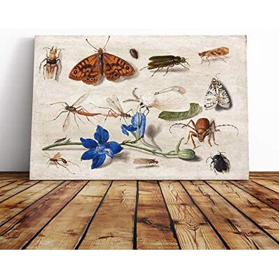 Big Box Art Jan Van Kessel Still Life Insects Canvas Print Gallery Wrapped 30mm Frame Wall Art 20x14 inches Ready to Hang Modern Still Life Picture Living Room Bedroom Lounge Office Big Box Art Jan Van Kessel Still Life Insects Canvas Print Gallery Wrapped 30mm Frame Wall Art 20x14 inches Ready to Hang Modern Still Life Picture Living Room Bedroom Lounge Office