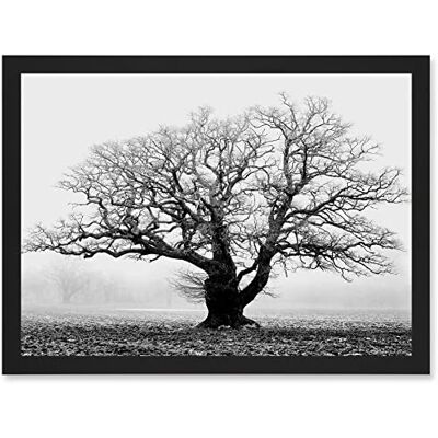 Artery8 - Old Oak Tree - Black - White - Framed Wall Art Artery8 - Old Oak Tree - Black - White - Framed Wall Art