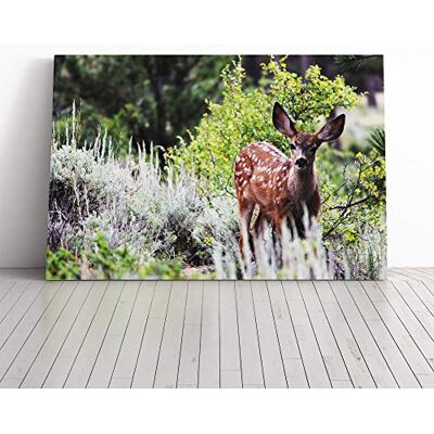 Big Box Art Deer in Forest Wood Canvas Print Gallery Wrapped 30mm Frame Wall Art 30x20 inches Ready to Hang Modern Animals Picture Living Room Bedroom Lounge Office Big Box Art Deer in Forest Wood Canvas Print Gallery Wrapped 30mm Frame Wall Art 30x20 inches Ready to Hang Modern Animals Picture Living Room Bedroom Lounge Office
