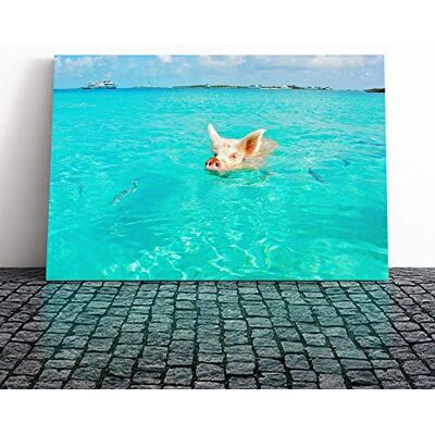 Big Box Art The Bahamas Swimming Pig Canvas Print Gallery Wrapped 30mm Frame Wall Art 30x20 inches Ready to Hang Modern Animals Picture Living Room Bedroom Lounge Office Big Box Art The Bahamas Swimming Pig Canvas Print Gallery Wrapped 30mm Frame Wall Art 30x20 inches Ready to Hang Modern Animals Picture Living Room Bedroom Lounge Office