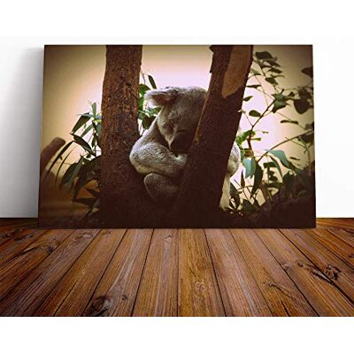 Big Box Art Koala Bear (4) Canvas Print Gallery Wrapped 30mm Frame Wall Art 20x14 inches Ready to Hang Modern Animals Picture Living Room Bedroom Lounge Office Big Box Art Koala Bear (4) Canvas Print Gallery Wrapped 30mm Frame Wall Art 20x14 inches Ready to Hang Modern Animals Picture Living Room Bedroom Lounge Office