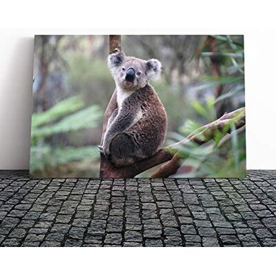 Big Box Art Koala Bear (5) Canvas Print Gallery Wrapped 30mm Frame Wall Art 20x14 inches Ready to Hang Modern Animals Picture Living Room Bedroom Lounge Office Big Box Art Koala Bear (5) Canvas Print Gallery Wrapped 30mm Frame Wall Art 20x14 inches Ready to Hang Modern Animals Picture Living Room Bedroom Lounge Office