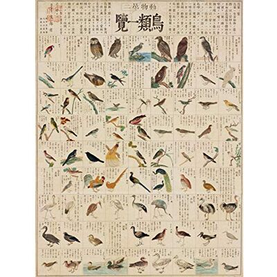 Artery8 Kato Chikusai Species of Birds Japanese Large Wall Art Poster Print Thick Paper 18X24 Inch Artery8 Kato Chikusai Species of Birds Japanese Large Wall Art Poster Print Thick Paper 18X24 Inch