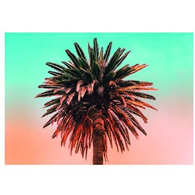 Komar Wall Picture Palm Tree Poster Picture Living Room Bedroom Decoration Art Print No Frame P051-70x50 cm Size 70x50 cm (Width x Height) Komar Wall Picture Palm Tree Poster Picture Living Room Bedroom Decoration Art Print No Frame P051-70x50 cm Size 70x50 cm (Width x Height)