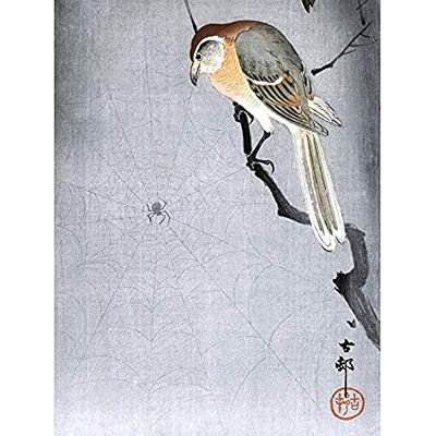 Wee Blue Coo Buffalo Shrike Spider Ohara Koson Art Print Canvas Premium Wall Decor Poster Wee Blue Coo Buffalo Shrike Spider Ohara Koson Art Print Canvas Premium Wall Decor Poster