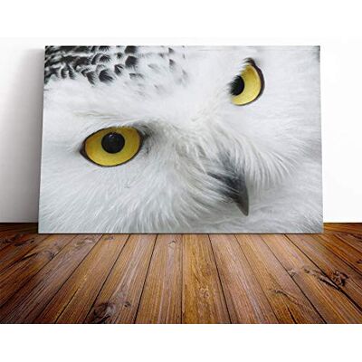 Big Box Art Snowy Owl Eyes Canvas Print Gallery Wrapped 30mm Frame Wall Art 20x14 inches Ready to Hang Modern Animals Picture Living Room Bedroom Lounge Office Big Box Art Snowy Owl Eyes Canvas Print Gallery Wrapped 30mm Frame Wall Art 20x14 inches Ready to Hang Modern Animals Picture Living Room Bedroom Lounge Office