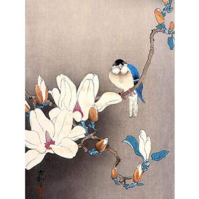 Wee Blue Coo Nature Japan Ohara Koson Bird Flower Art Print Poster Wall Decor 12X16 Inch Wee Blue Coo Nature Japan Ohara Koson Bird Flower Art Print Poster Wall Decor 12X16 Inch