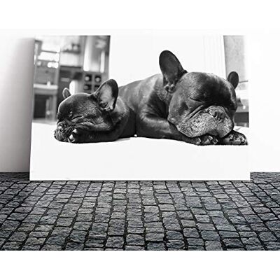 Big Box Art Two Black French Bulldogs Dog Canvas Print Gallery Wrapped 30mm Frame Wall Art 20x14 inches Ready to Hang French Animals Picture Living Room Bedroom Lounge Office Big Box Art Two Black French Bulldogs Dog Canvas Print Gallery Wrapped 30mm Frame Wall Art 20x14 inches Ready to Hang French Animals Picture Living Room Bedroom Lounge Office