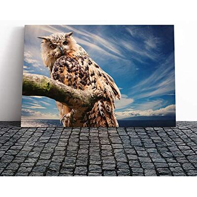 Big Box Art Owl on a Tree Branch Canvas Print Gallery Wrapped 30mm Frame Wall Art 20x14 inches Ready to Hang Modern Animals Picture Living Room Bedroom Lounge Office Big Box Art Owl on a Tree Branch Canvas Print Gallery Wrapped 30mm Frame Wall Art 20x14 inches Ready to Hang Modern Animals Picture Living Room Bedroom Lounge Office