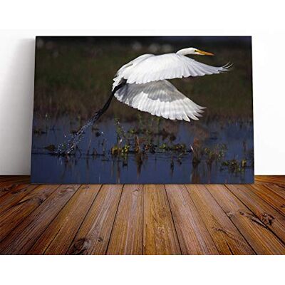 Big Box Art Egret Bird Canvas Print Gallery Wrapped 30mm Frame Wall Art 20x14 inches Ready to Hang Modern Animals Picture Living Room Bedroom Lounge Office Big Box Art Egret Bird Canvas Print Gallery Wrapped 30mm Frame Wall Art 20x14 inches Ready to Hang Modern Animals Picture Living Room Bedroom Lounge Office