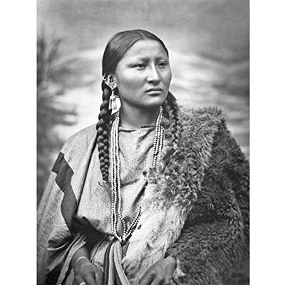 Fine Art Prints Native American Arapaho Pretty Nose 1879 Photo Art Print Canvas Premium Wall Decor Poster Mural, Earthy tones with natural skin tones Fine Art Prints Native American Arapaho Pretty Nose 1879 Photo Art Print Canvas Premium Wall Decor Poster Mural, Earthy tones with natural skin tones