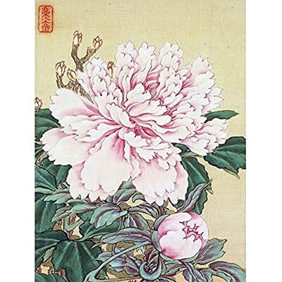 Artery8 Okamoto Pictures Flowers Birds Japanese 11 Painting Art Print Canvas Premium Wall Decor Poster Mural Artery8 Okamoto Pictures Flowers Birds Japanese 11 Painting Art Print Canvas Premium Wall Decor Poster Mural