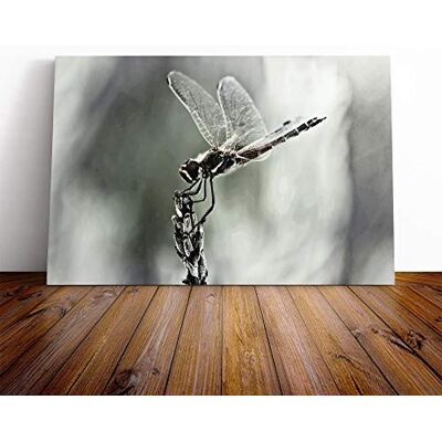Big Box Art Dragonfly Insect (4) Canvas Print Gallery Wrapped 30mm Frame Wall Art 30x20 inches Ready to Hang Modern Animals Picture Living Room Bedroom Lounge Office Big Box Art Dragonfly Insect (4) Canvas Print Gallery Wrapped 30mm Frame Wall Art 30x20 inches Ready to Hang Modern Animals Picture Living Room Bedroom Lounge Office
