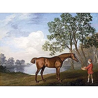 Fine Art Prints Stubbs Racehorse Pumpkin Stable Lad Painting Art Print Canvas Premium Wall Decor Poster Mural Fine Art Prints Stubbs Racehorse Pumpkin Stable Lad Painting Art Print Canvas Premium Wall Decor Poster Mural