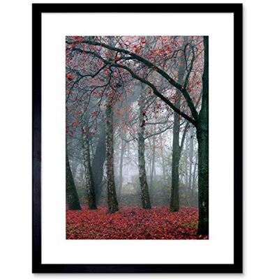 Wee Blue Coo Nature Forest Tree Autumn Fall Beautiful Red Framed Wall Art Print Wee Blue Coo Nature Forest Tree Autumn Fall Beautiful Red Framed Wall Art Print