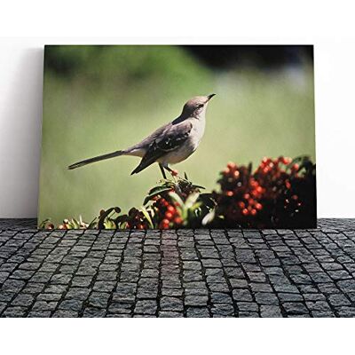 Big Box Art Mockingbird Bird Canvas Print Gallery Wrapped 30mm Frame Wall Art 20x14 inches Ready to Hang Modern Animals Picture Living Room Bedroom Lounge Office Big Box Art Mockingbird Bird Canvas Print Gallery Wrapped 30mm Frame Wall Art 20x14 inches Ready to Hang Modern Animals Picture Living Room Bedroom Lounge Office