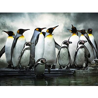 Wee Blue Coo Emperor Penguin Huddle Birds Antarctica Photo Art Picture Canvas Print Wee Blue Coo Emperor Penguin Huddle Birds Antarctica Photo Art Picture Canvas Print