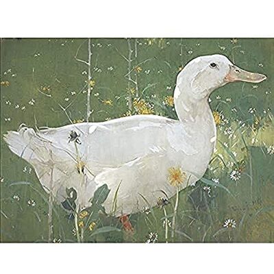 Fine Art Prints Joseph Crawhall The White Drake Art Print Canvas Premium Wall Decor Poster Mural Fine Art Prints Joseph Crawhall The White Drake Art Print Canvas Premium Wall Decor Poster Mural