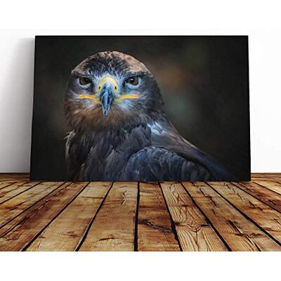 Big Box Art Eagle Bird (2) Canvas Print Gallery Wrapped 30mm Frame Wall Art 24x16 inches Ready to Hang Modern Animals Picture Living Room Bedroom Lounge Office Big Box Art Eagle Bird (2) Canvas Print Gallery Wrapped 30mm Frame Wall Art 24x16 inches Ready to Hang Modern Animals Picture Living Room Bedroom Lounge Office