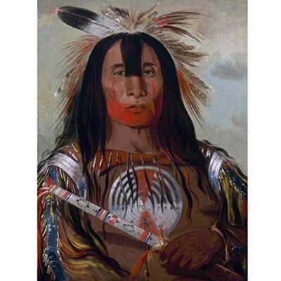Fine Art Prints Catlin Buffalo Bulls Back Fat Blood Native American Portrait Large Print Poster Wall Art Decor Picture Fine Art Prints Catlin Buffalo Bulls Back Fat Blood Native American Portrait Large Print Poster Wall Art Decor Picture