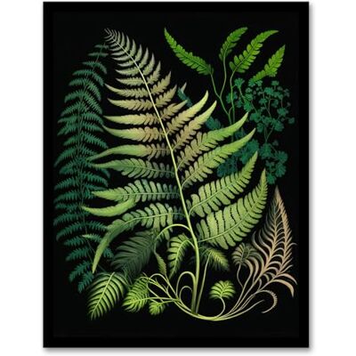 Wee Blue Coo Elegant Fern Fronds Botanical Nature Foliage Artwork Green on Black Artwork Framed Wall Art Print 18X24 Inch Wee Blue Coo Elegant Fern Fronds Botanical Nature Foliage Artwork Green on Black Artwork Framed Wall Art Print 18X24 Inch
